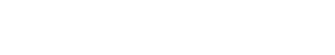 Classy Touch Logo
