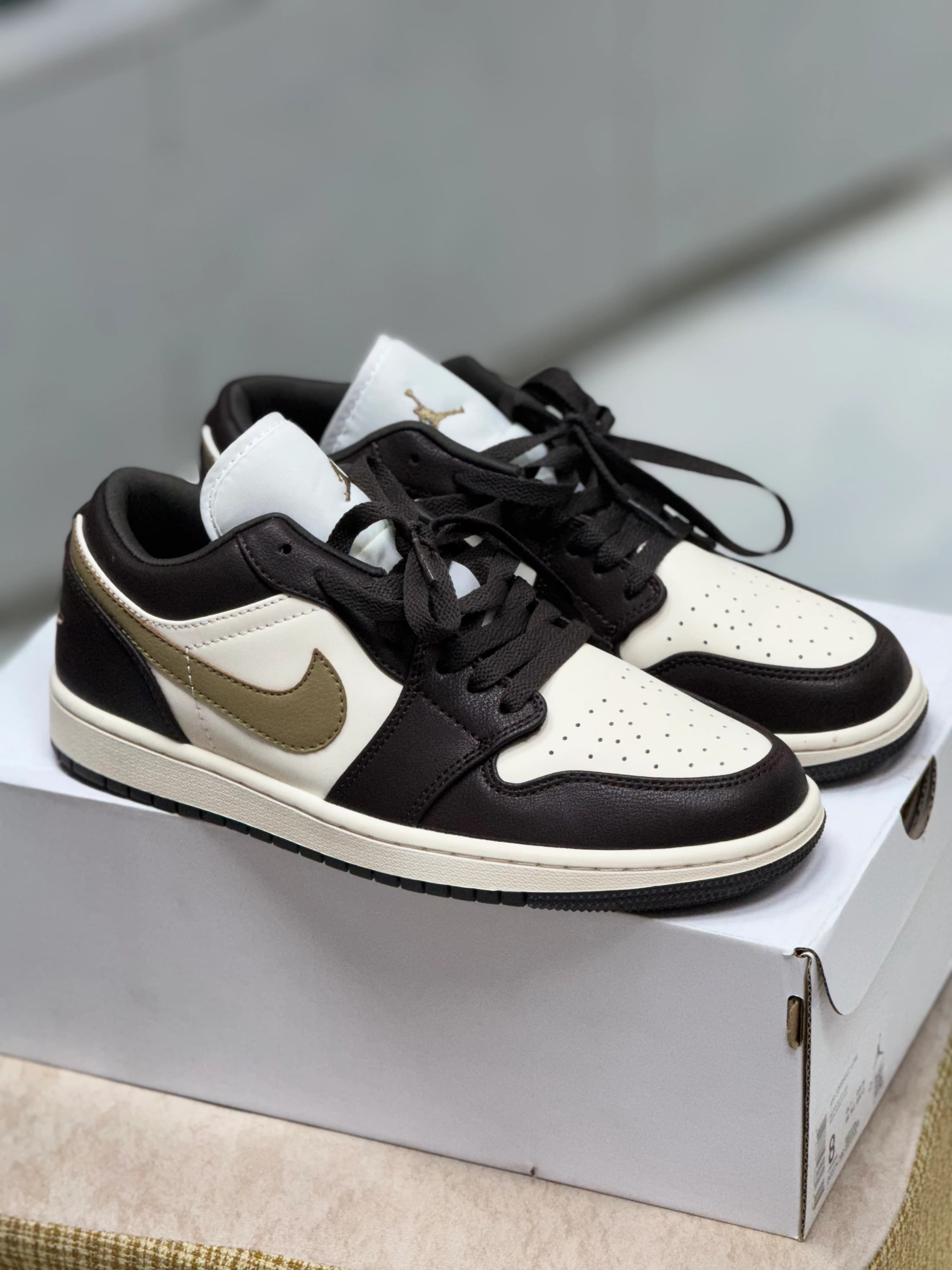 Jordan 1 Low β Shadow Brown